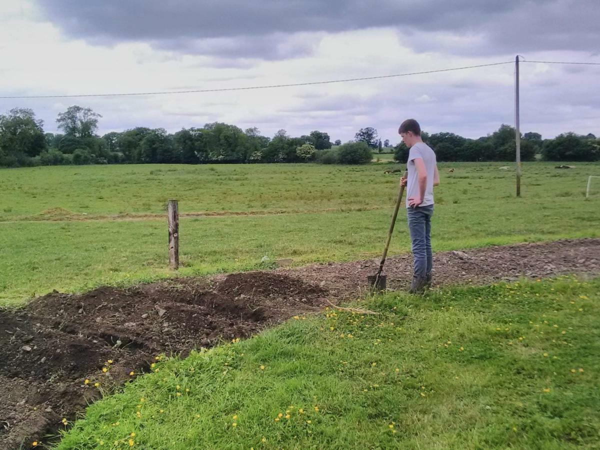 Hotel Castletownmoor Clinic & Permaculture Farm Kells  Zewnętrze zdjęcie