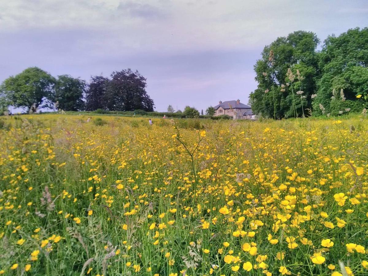Hotel Castletownmoor Clinic & Permaculture Farm Kells  Zewnętrze zdjęcie